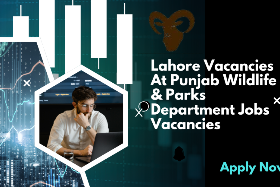 Lahore Vacancies