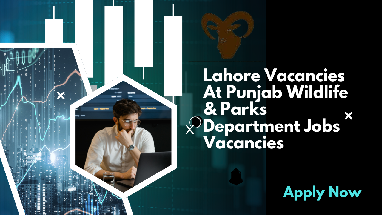 Lahore Vacancies